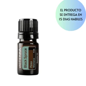 Black Spruce Oil